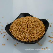 Price of Yellow Broomcorn Millet